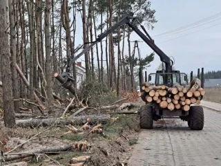  Prace związane z wycinką drzew w km 3+560