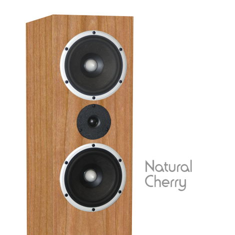 Bud Fried Tower Speakers Natural Cherry