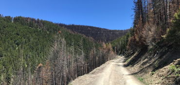 Big Belt Mountains Experience  near Townsend, MT