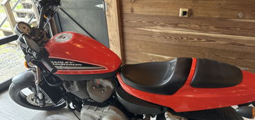 2009 HARLEY-DAVIDSON XR 1200 SPORTSTER (LUX COLORS) motorcycle for rent near Rock hill, SC