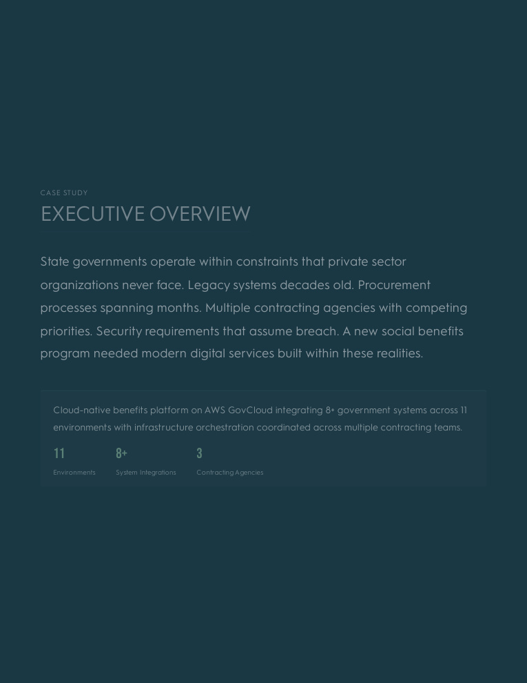 Government it projects developers developer - Matt M.'s portfolio image