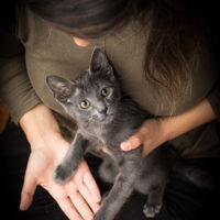 Olivia, founder of KittyKloset
