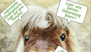 iris brosen pferd kindergeburtstag feiern