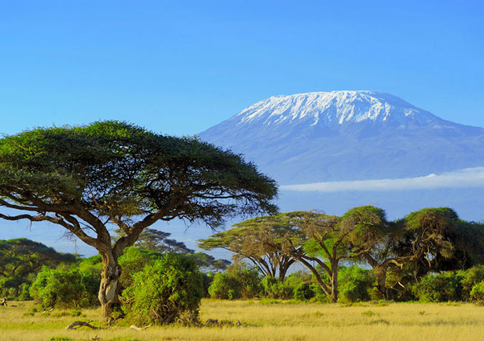 Kenya National Parks | Encounters Travel