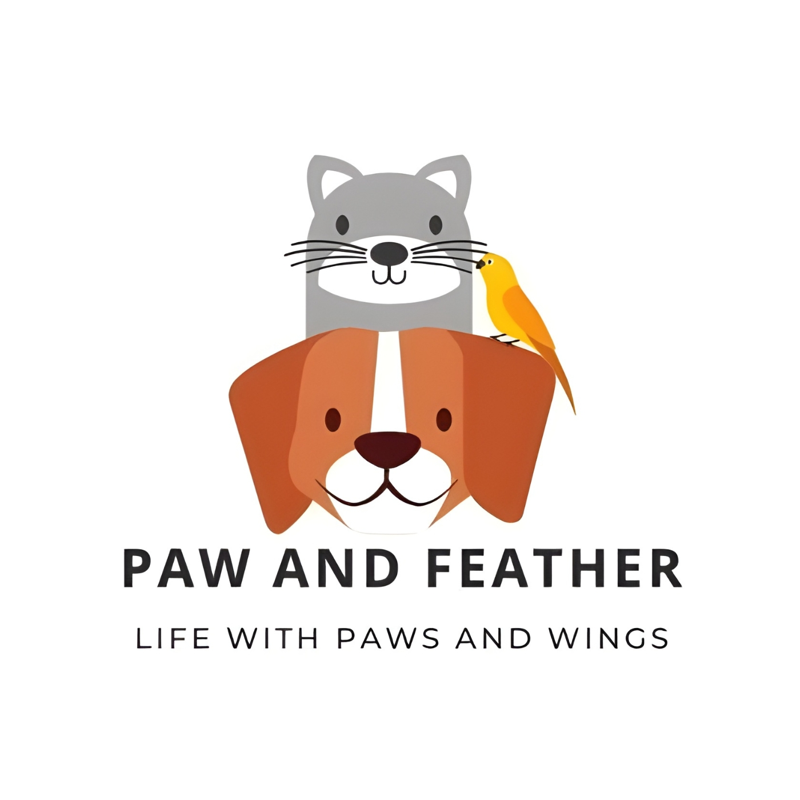 Paw and Feather cover