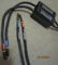 MIT Cables Oracle V1.1 5 ft interconnect RCA/RCA 3