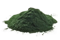 Organics Ocean Wild Sea Moss Chlorella