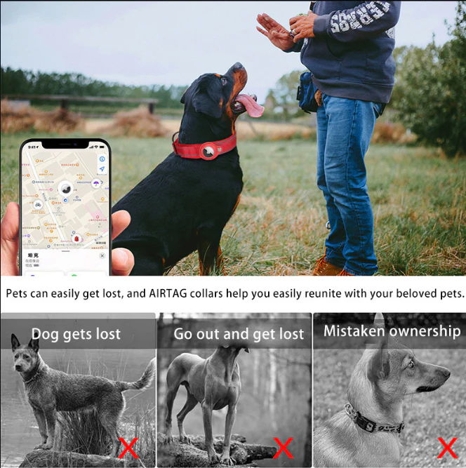 Purple Secure Nylon Dog Collar with Built-in Apple AirTag (not included) Holder Case - Pet Tracker Accessory - Image 3