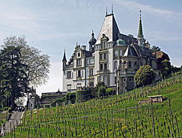  Luzern
- meggenhorn