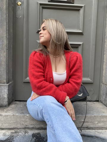 Lenka Malaise