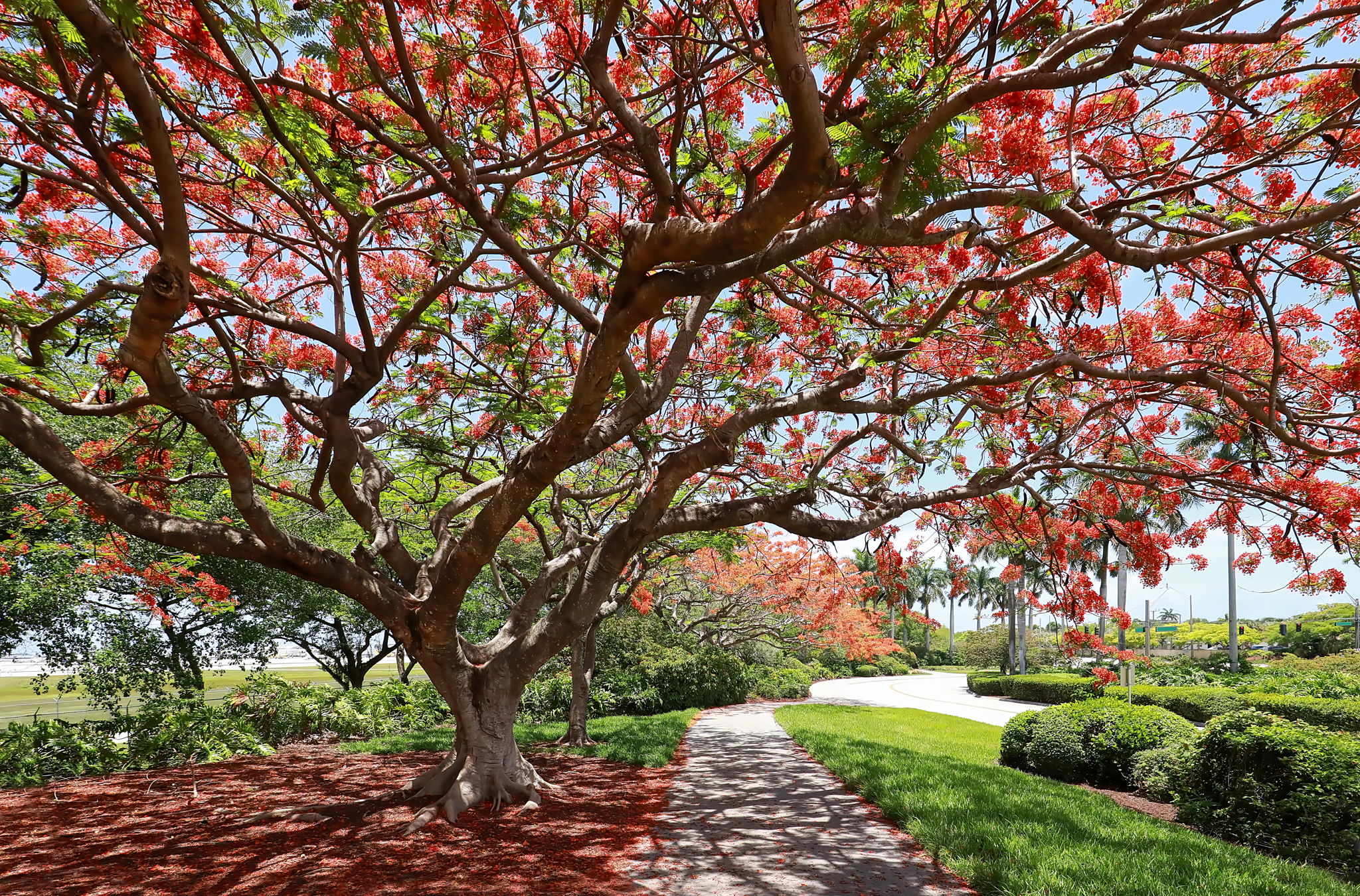 Properties En Venta in Poinciana Park