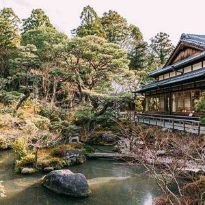 Visiting Nara