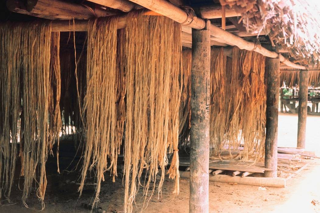 Unusual uses of industrial hemp