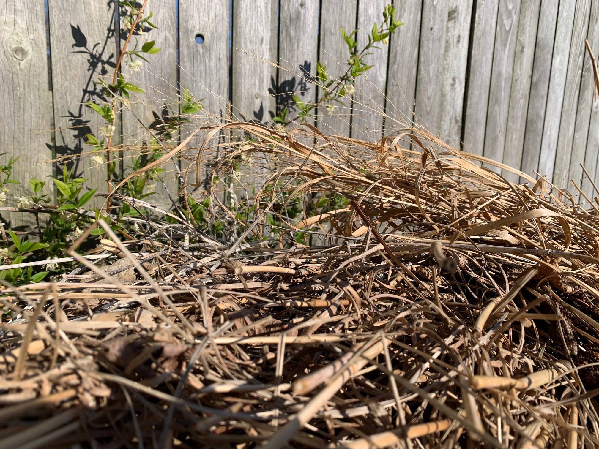 Pile of plant debris in a garden