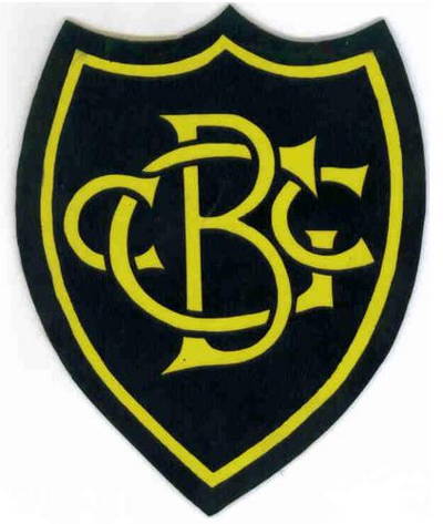 Glynde and Beddingham CC Cricket Club Logo