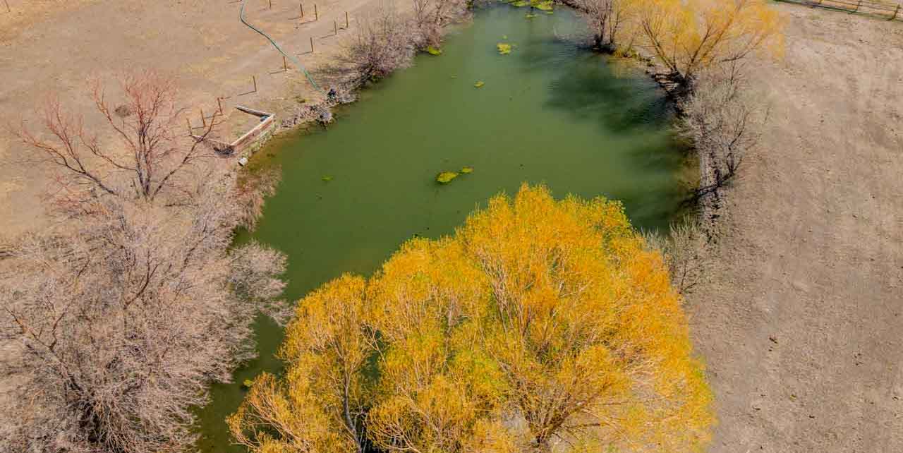 Slideshow image
