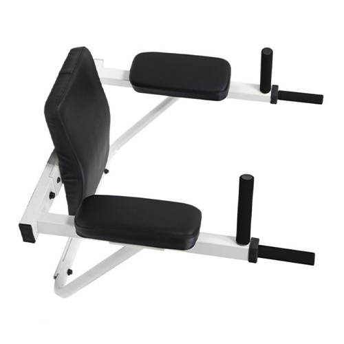 Ultimate Body Press Wall Mounted Dip Station