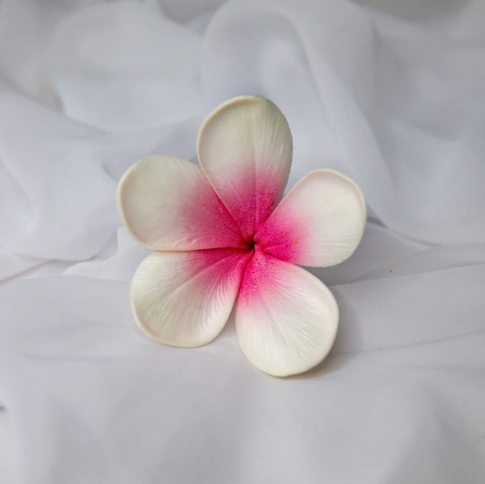 White Pink Frangipani Flowerhead ( 6 Pack ) - Realistic Artificial Flowers - Image 5