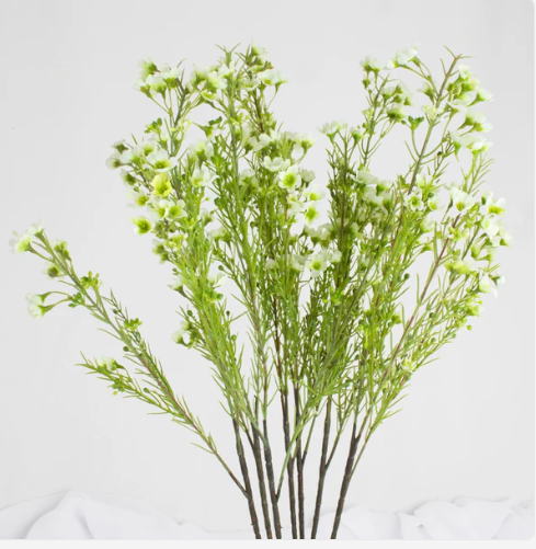 Wax Flower Spray White - Image 2