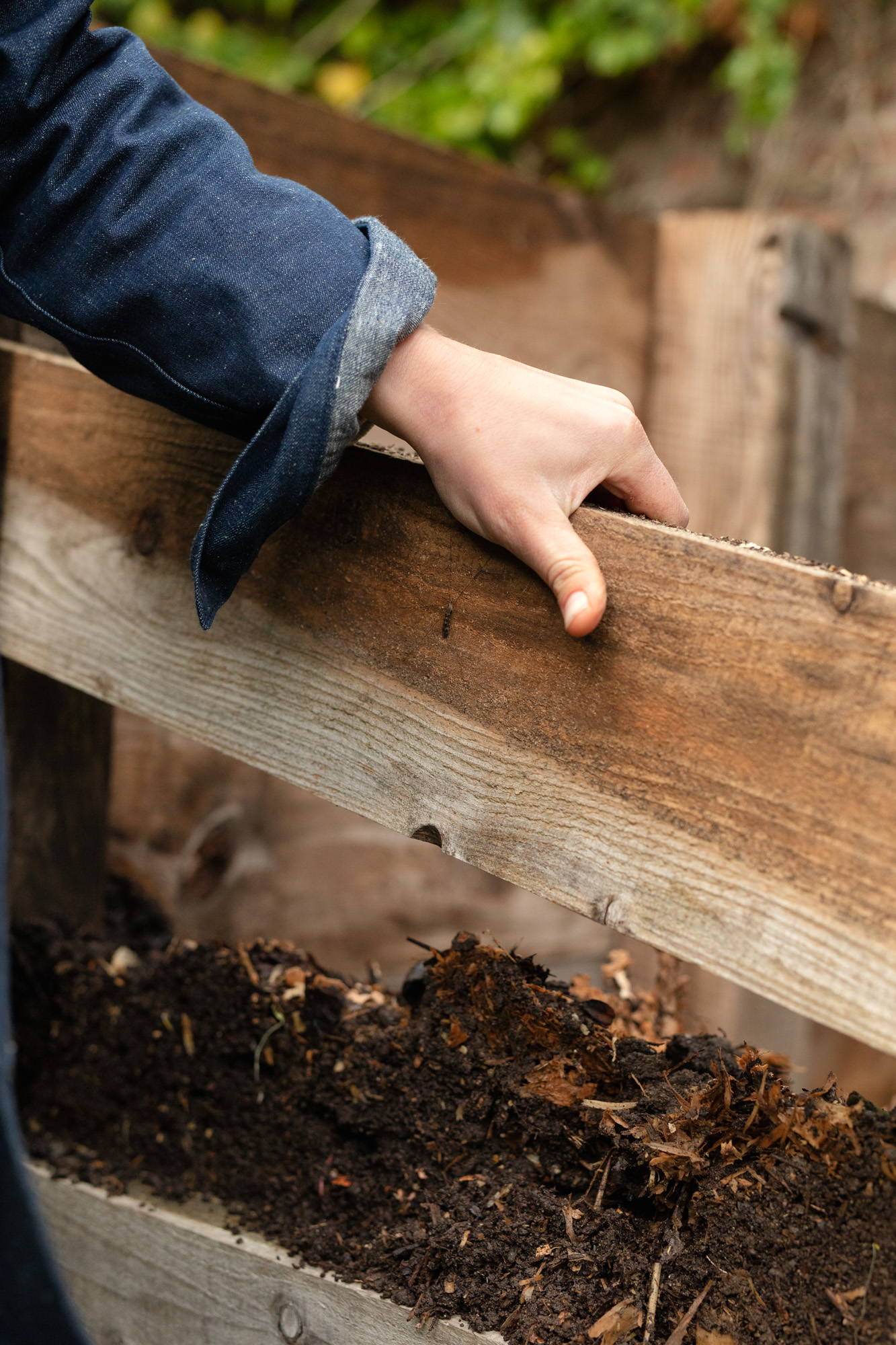 Compost