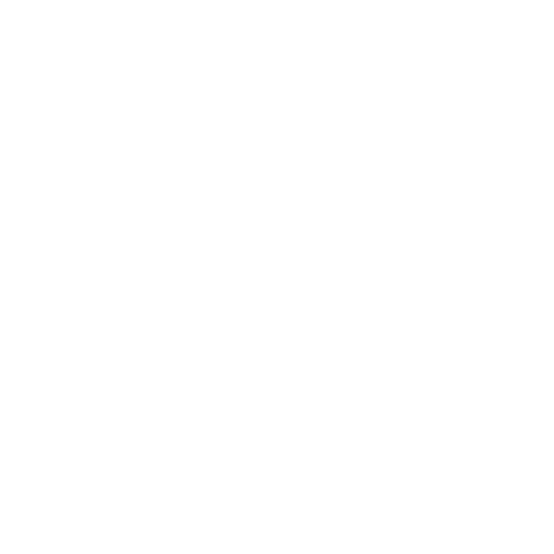 Order fulfillment System_icon
