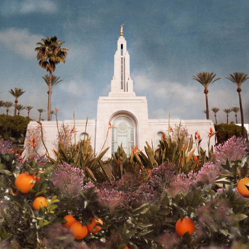 Picture of the Redlands Temple. Orange trees fill the foreground.