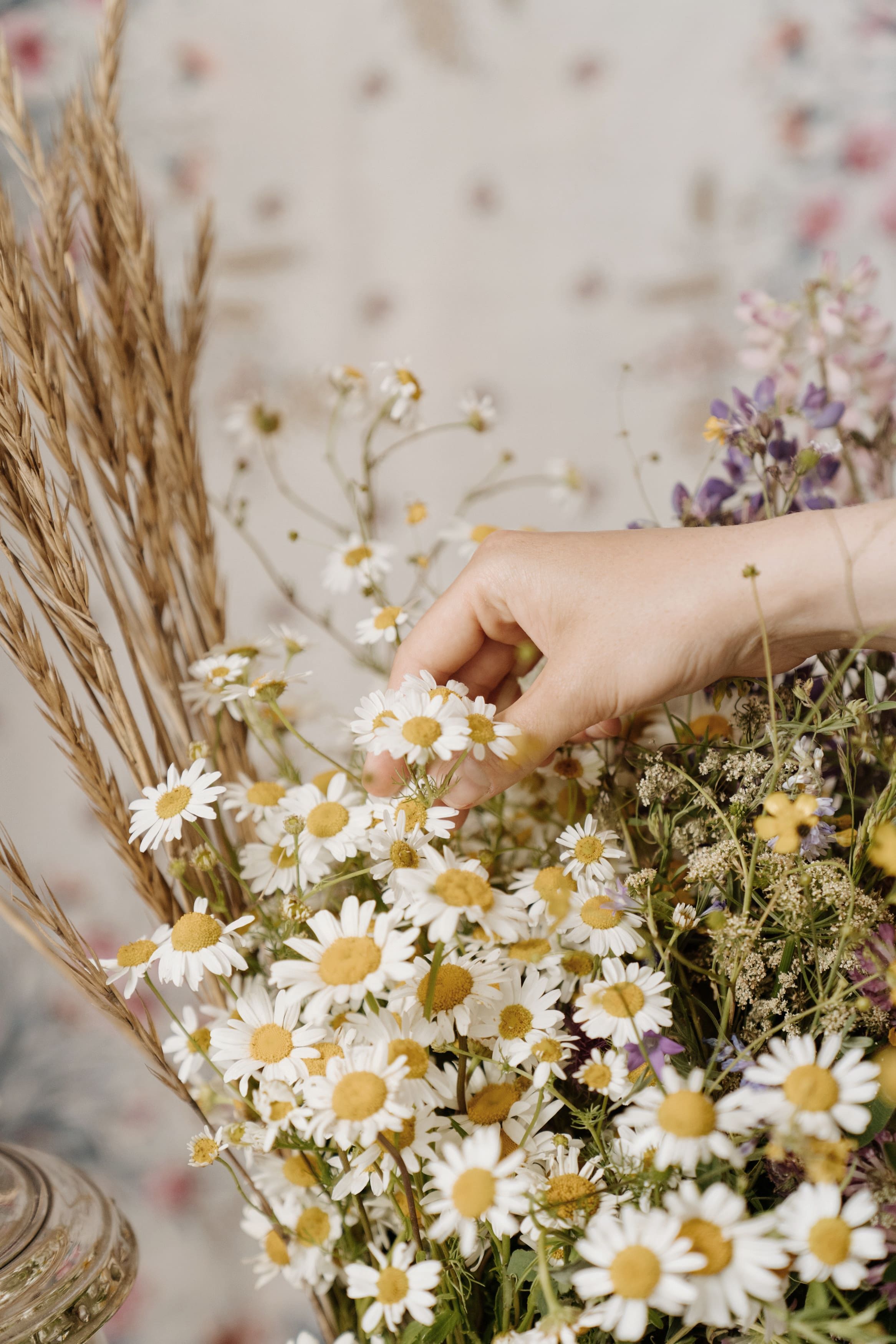 Alt Image