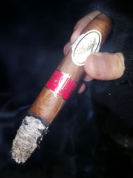 Nice ash