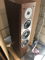 Dynaudio  Focus 340  (Walnut Pair) Tower Speakers FREE ... 7
