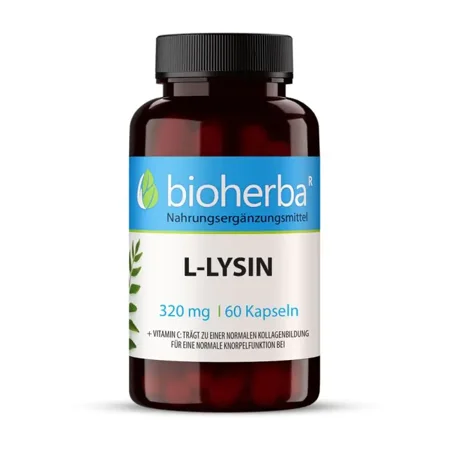 L - Lysin 320 mg 60 Kapseln