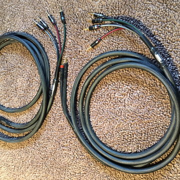 Reference Series