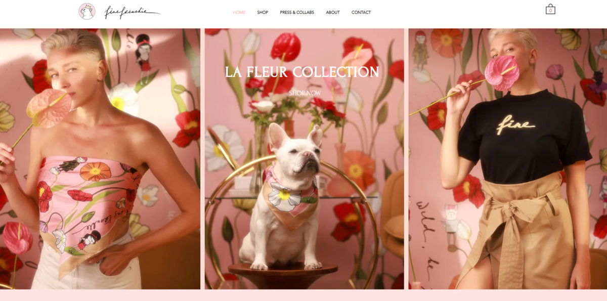 Screenshot of Fine Frenchie, from the wix business website examples collection.