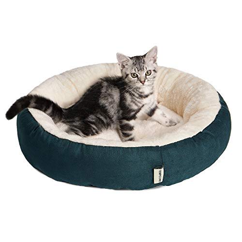 Tempcore Cat Bed vs AmazonBasics Cat Condo Tree Tower with Hammock Slant