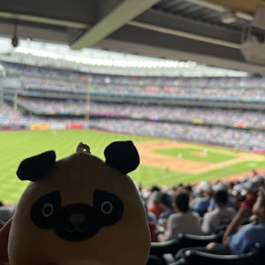 Baseball Game Fund