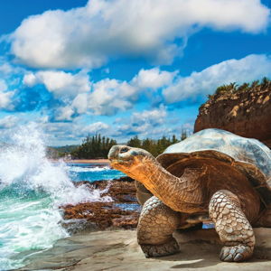 Galapagos tour