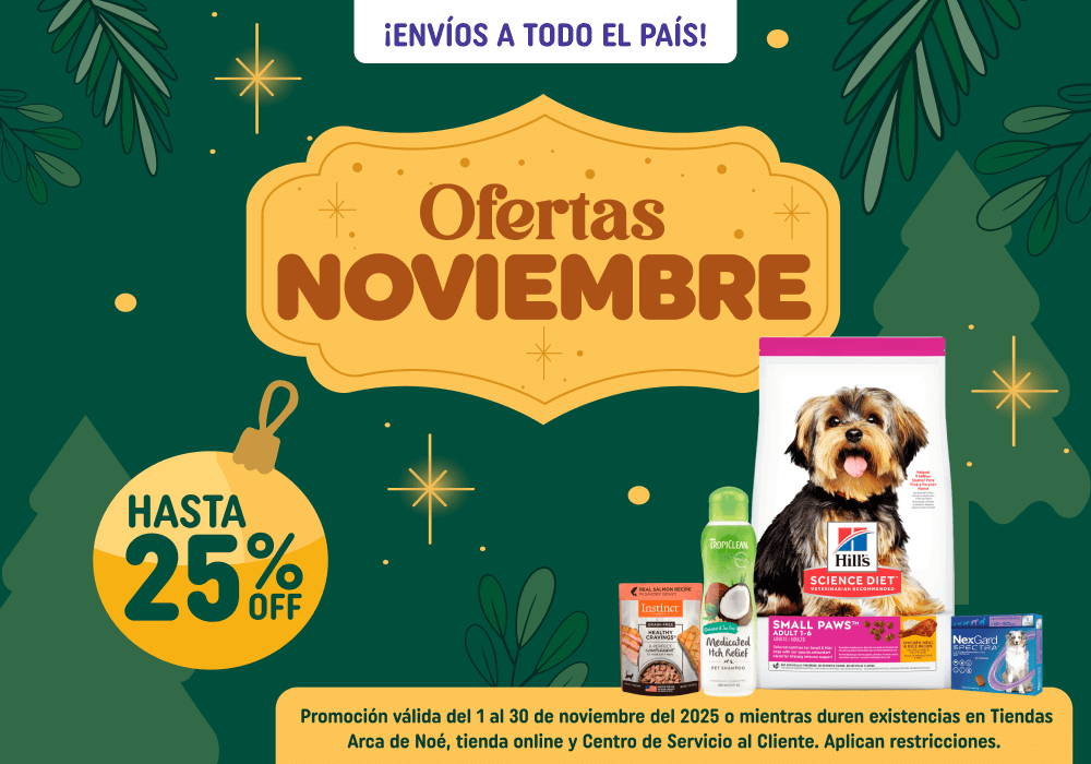 Ofertas Octubre 2025