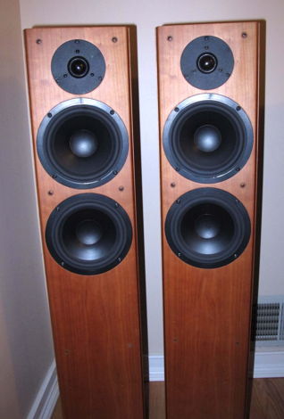 Tannoy Revolution R3 speakers Beautiful Natural Cherry ...