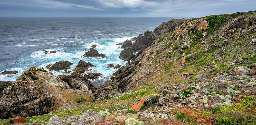 King Island Tours Voucher - Image 14