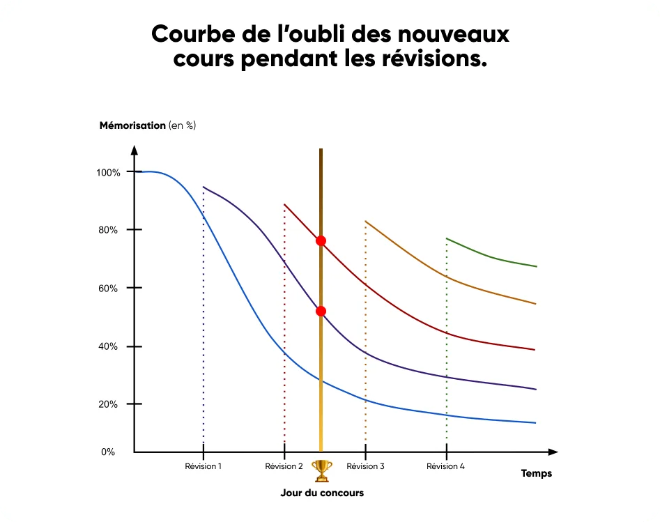 organiser ses révisions en PASS courbe de l'oubli