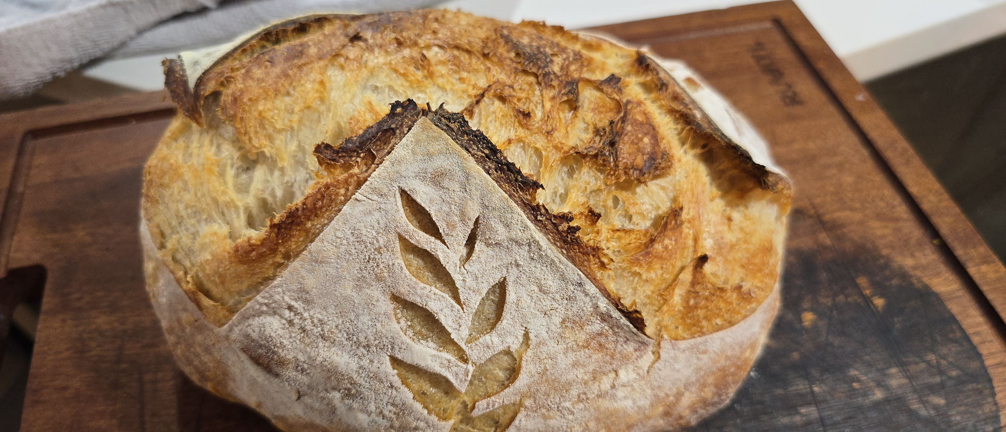G6 Sourdough, A Homeschool Bakery | Georgetown TX — photo from hotplate.com