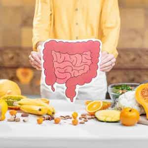 Food Sensitivities Vs Food Allergies Test