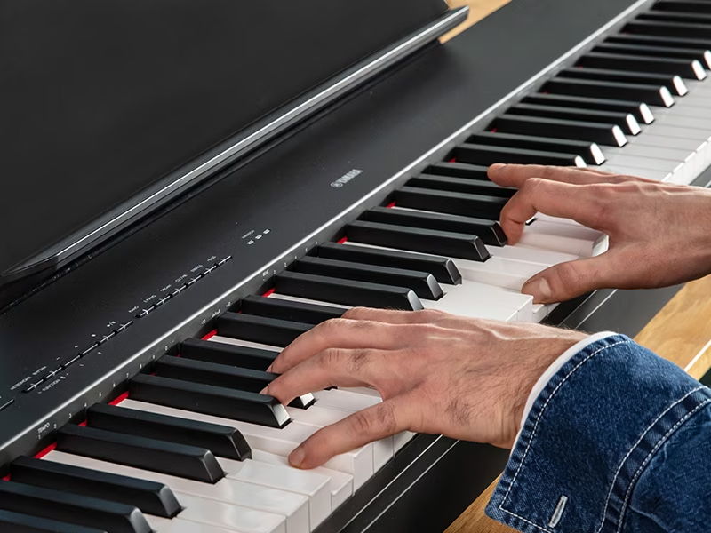Amazon.co.jp: YAMAHA ヤマハ/NP-30 : 楽器・音響機器