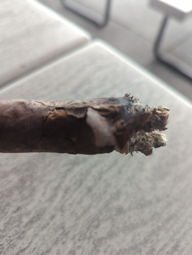 Cigar Session Photo