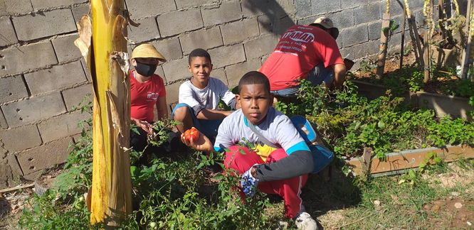 Crianças cuidando de uma horta no projeto itamar, parte do projeto Crianças de horta