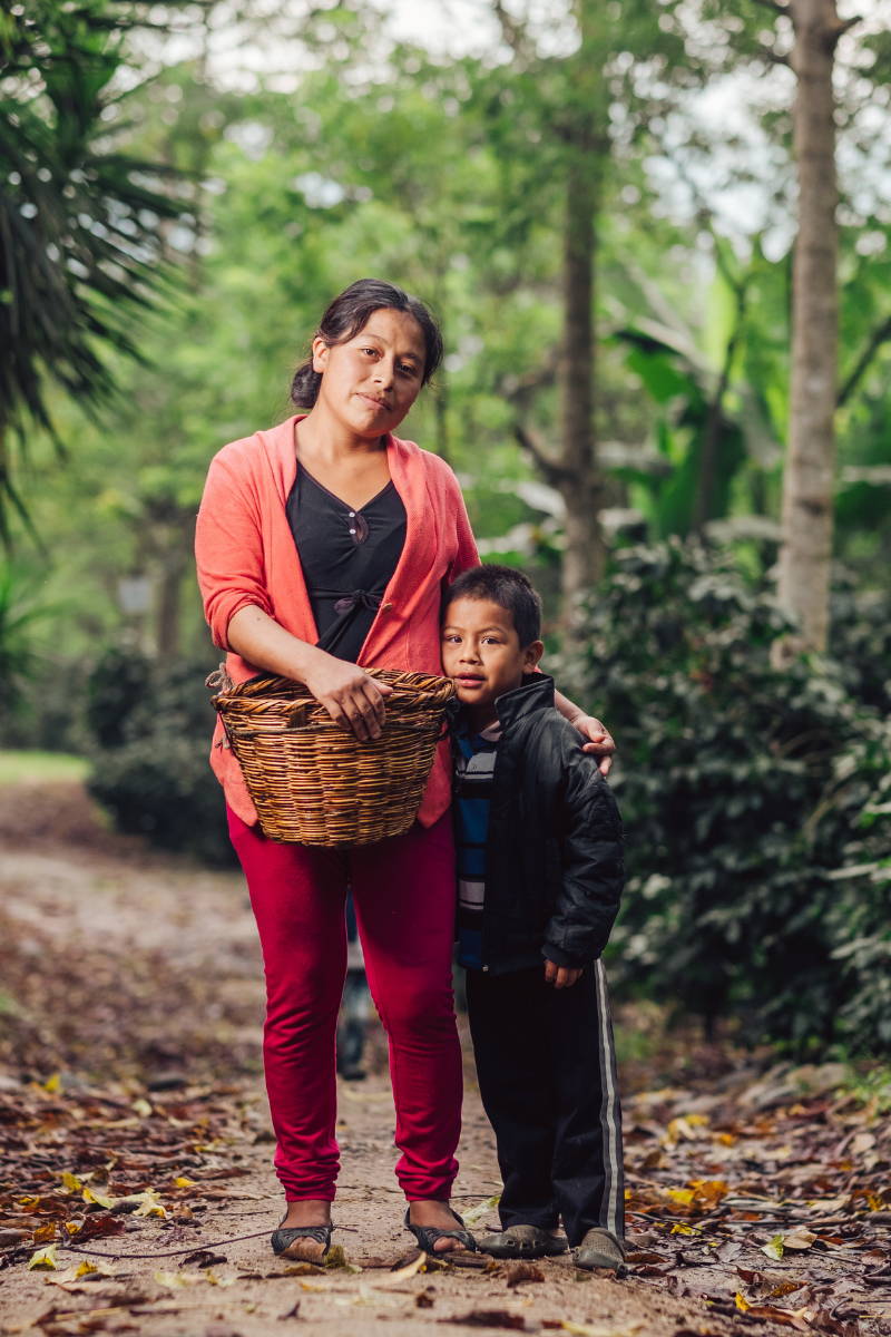 Woman Coffee Picker and Child. 