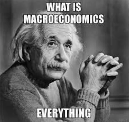 Macroeconomics for dummies - Einstein
