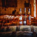 Bouteilles de Single Malt Scotch Whisky Glen Scotia posées sur un fût dans un chai de la distillerie Glen Scotia sur la péninsule de Kintyre dans la région de Campbeltown en Ecosse