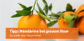 Mandarine bei grauem Haar