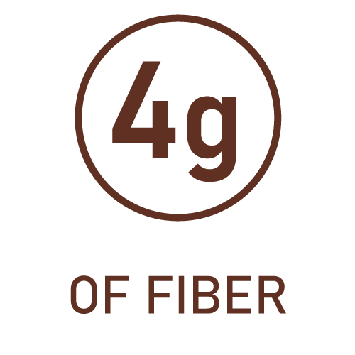 Icon-4g_of_Fiber