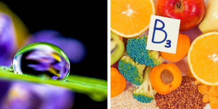 Vegetable Glycerine & Vitamin B3